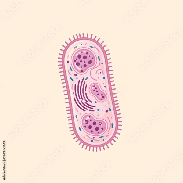 Obraz Adobe Illustrator Artwork