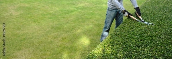 Obraz pruning a hedge