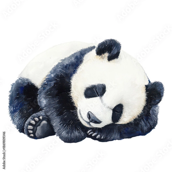 Obraz Cute Panda Sleeping Peacefully on Transparent Background