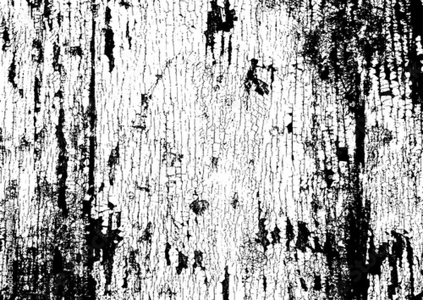Fototapeta Large vector tree bark texture with a transparent background