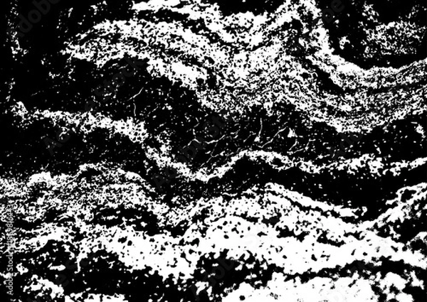 Fototapeta Large vector tree bark texture with a transparent background