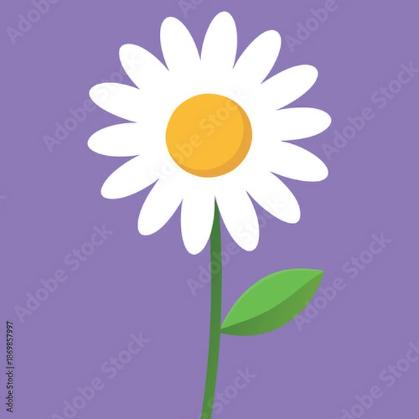 Obraz Daisy realistic 3d composition 