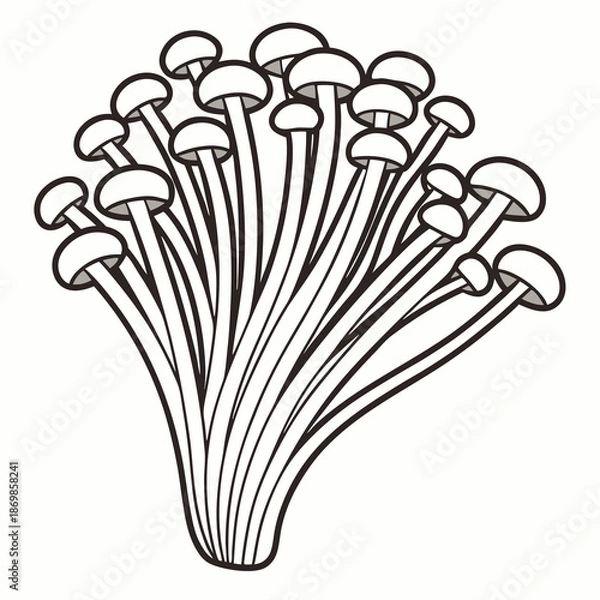 Obraz Enoki mushroom vector on white backgro