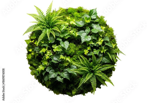 Obraz Vibrant green plant sphere