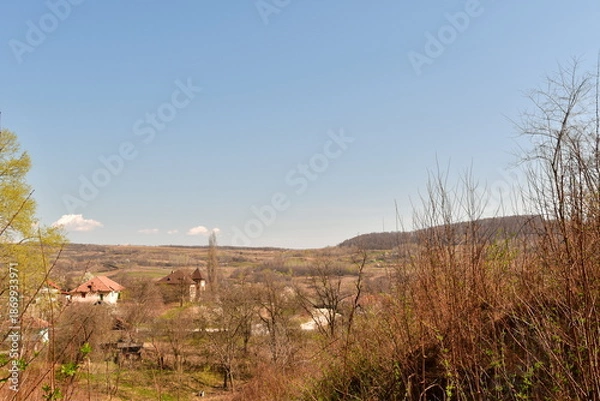 Obraz landscape with trees