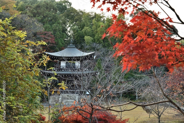 Fototapeta 勧修寺　秋色に覆われる観音堂(京都市山科区)