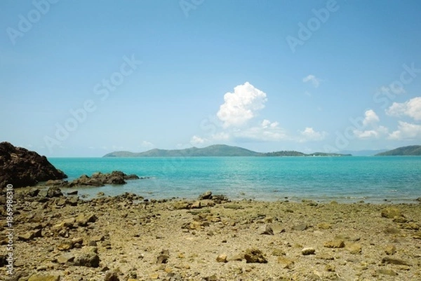 Obraz Coral Beach in Australia