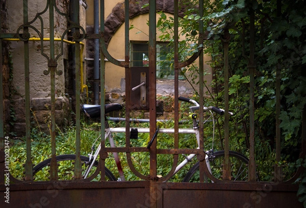 Obraz Bicycle chained behind rusty gate