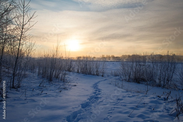 Obraz 足跡のついた雪原