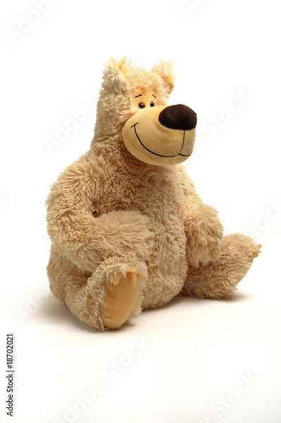 Obraz teddy-bear