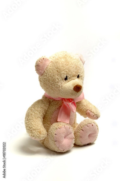 Fototapeta teddy-bear