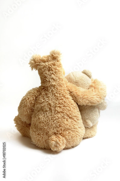 Obraz teddy-bears