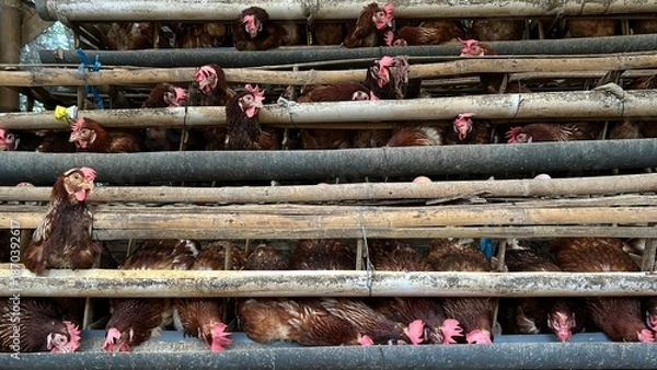 Obraz old wooden spools