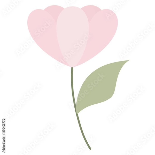 Obraz Pink flower on White 