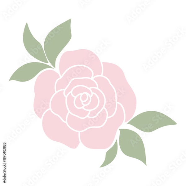 Obraz pink rose flower