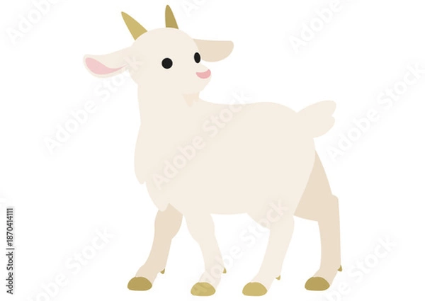 Obraz 穏やかに立つ白いヤギの振り向くポーズ