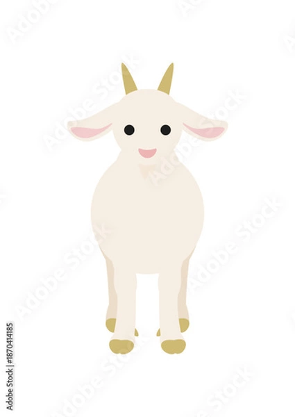 Obraz 正面から見た白いヤギの姿