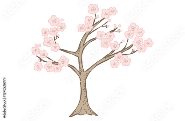 Obraz 梅の木のイラスト(カラー線)