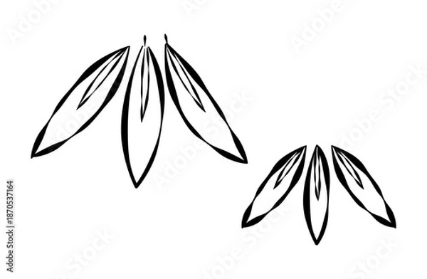 Obraz 竹（笹の葉）の線画イラスト
