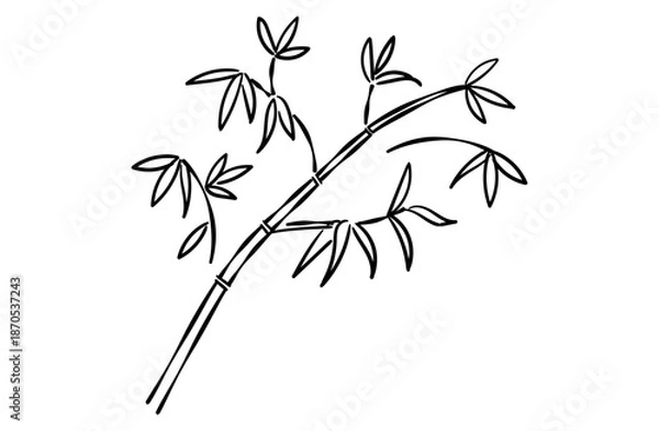 Obraz 竹（笹）の線画イラスト