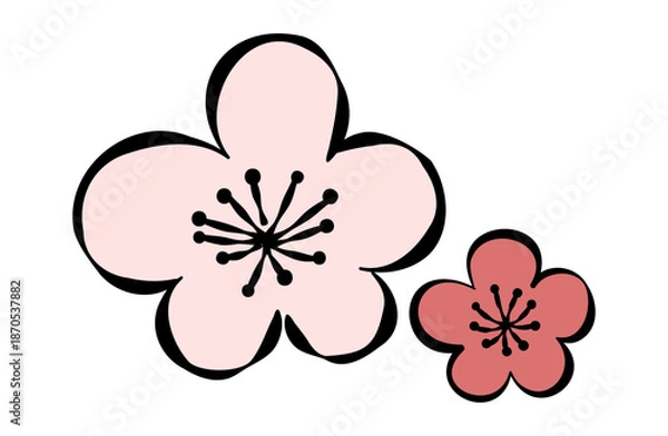 Obraz 梅の花のイラスト(線あり)