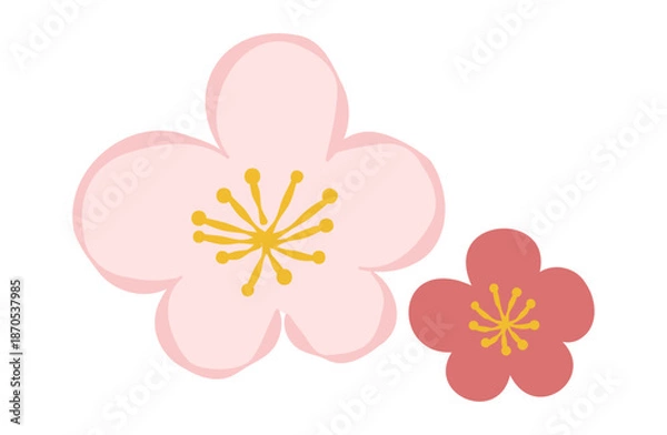 Obraz 梅の花のイラスト(カラー線)