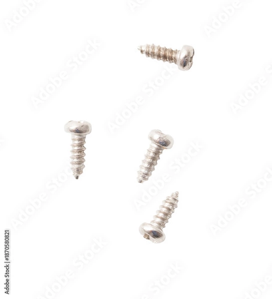 Obraz Four silver screws with a pointed end