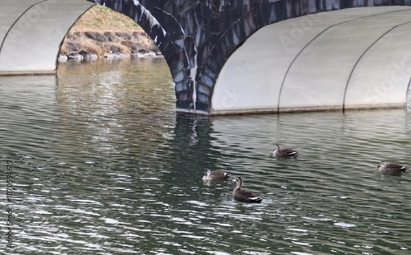 Obraz 石橋のある公園　冬の風景