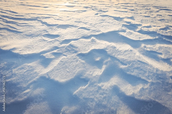Fototapeta Ripple Marks on Fresh Snow