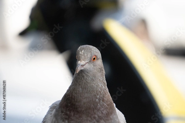 Fototapeta Barcelona