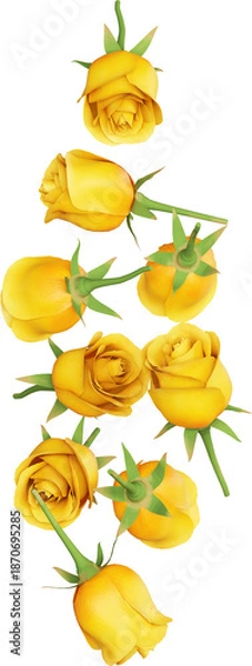 Obraz Falling Yellow Rose Flower