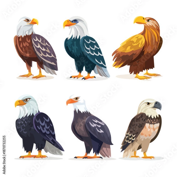 Fototapeta eagle vector