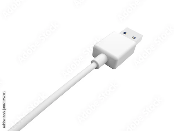 Obraz White USB cable. Plug. Isolated. 3d illustration.