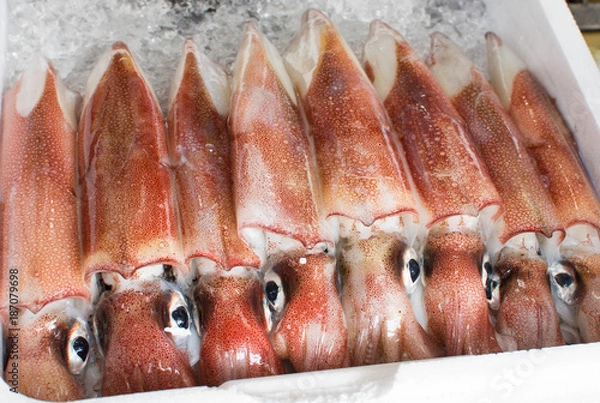 Obraz 海鮮・新鮮・アオリイカ