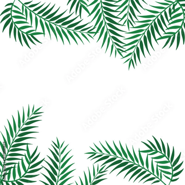 Obraz palm tree isolated on white background