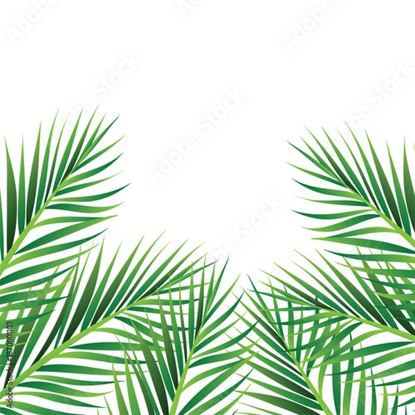 Obraz palm tree isolated on white background