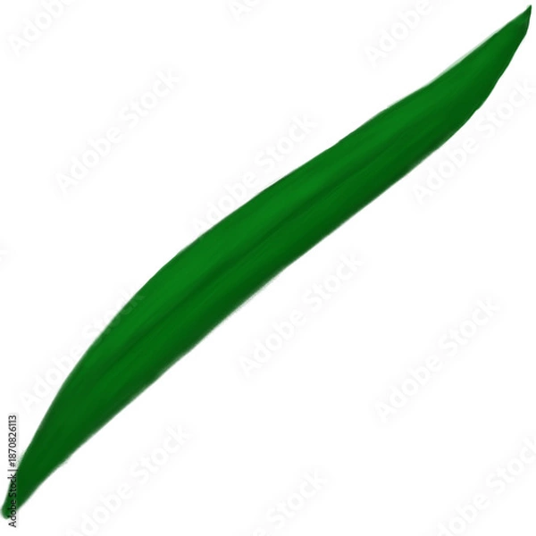 Obraz Long Slim Leaf Illustration