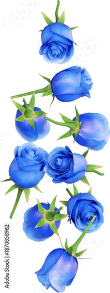Obraz Blue Rose Flower