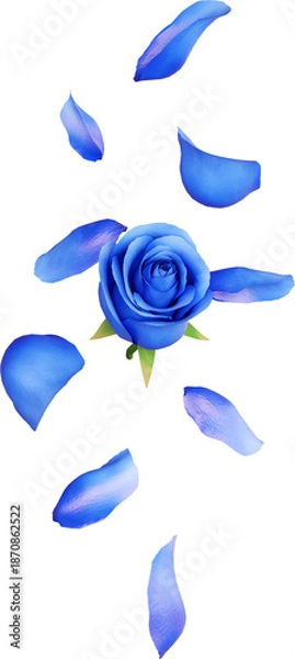 Obraz Falling Blue Rose Flower