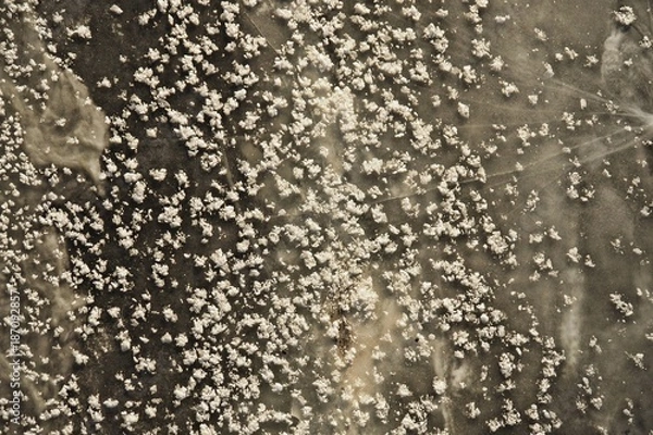 Obraz OLYMPUS DIGITAL CAMERA