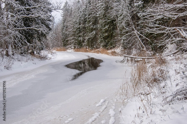 Obraz river in winter