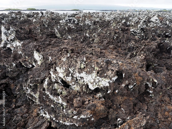 Fototapeta Stuffed lava on island Islote Tintoreras commemorates the moonland, Galapagos, Ecuador