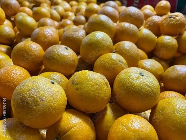 Obraz fresh oranges on black background