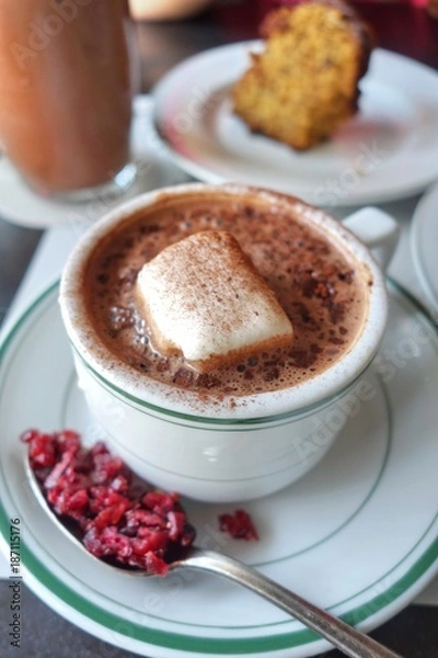 Obraz a cup of hot chocolate and marshmallow