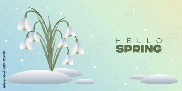 Fototapeta The rectangular banner with snowdrops