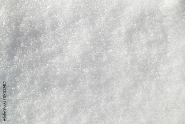 Obraz Fresh snow - texture or background.