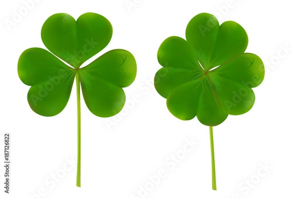 Fototapeta clover four leaf for saint patrick day vector illustration isolated on white background. realistic vector