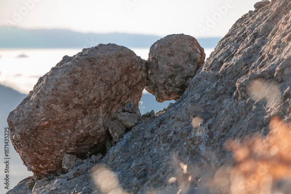 Obraz The strong hold the small – mutual help