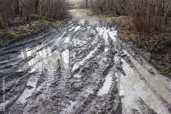 Fototapeta Muddy road in the forest