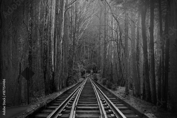 Obraz Black and White Photography of Train Tracks or Rail Roads in the Magical Fantasy Forest